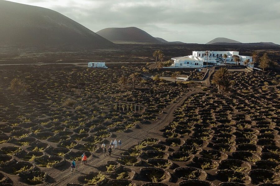 Lanzarote: Vineyard Tour with Wine and Chocolate Tasting - Key points at a glance