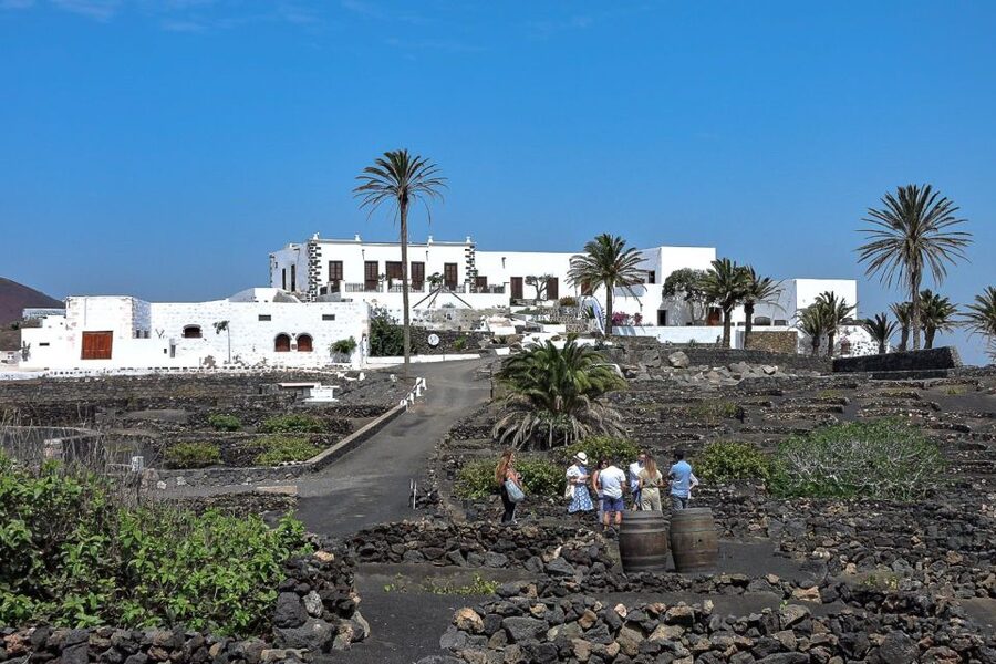 Lanzarote: Vineyard Tour with Wine and Chocolate Tasting - The Testeina farmhouse and its island story
