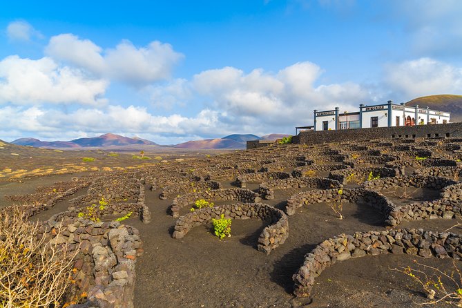 Lanzarote Volcano and Wine Region Tour from Fuerteventura - Why Timanfaya makes this six-hour tour worthwhile