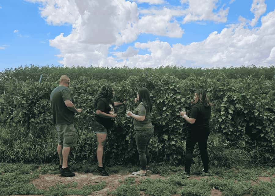 Las Cruces/El Paso: Weekend Wine Tour to three wineries - The five-hour pace works best as a social outing
