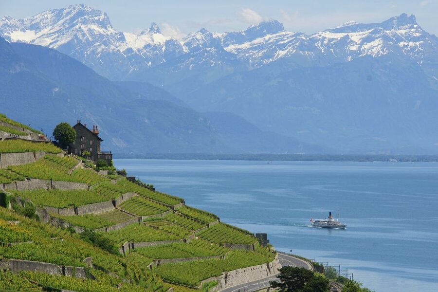 Lausanne: 2-Hour Lake Geneva Cruise Along Lavaux Vineyards - Key points at a glance
