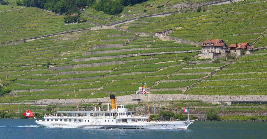 Lausanne: 2-Hour Lake Geneva Cruise Along Lavaux Vineyards - Should you book the Lausanne Lake Geneva cruise?