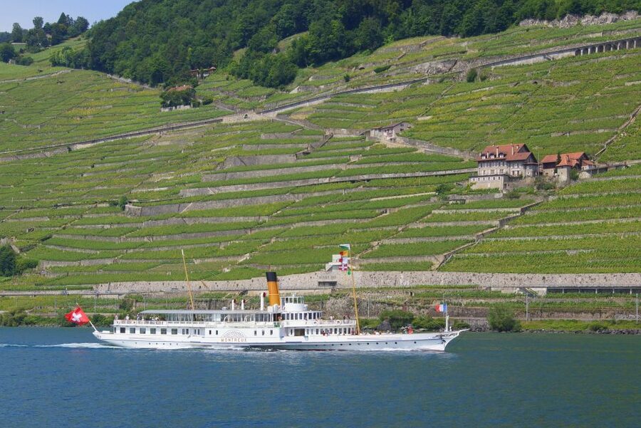 Lausanne: 2-Hour Lake Geneva Cruise Along Lavaux Vineyards - Why this Lake Geneva cruise works so well