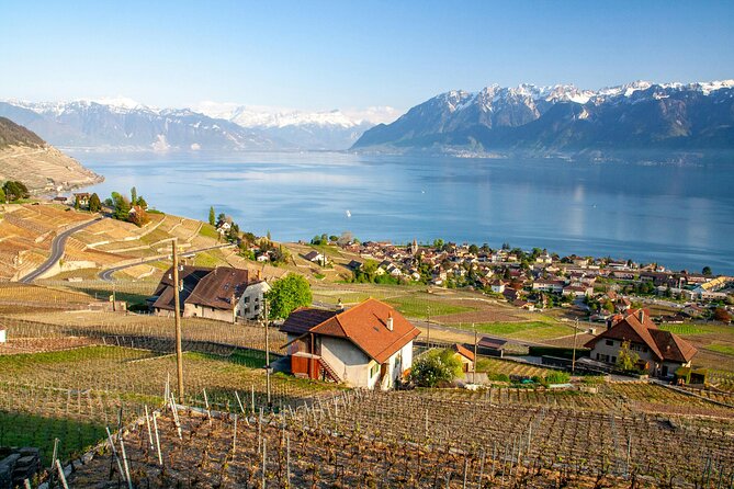 Lavaux Wine and Vineyard Experience with Boat Cruise - Chemin du Daley and the terraces above Lake Geneva