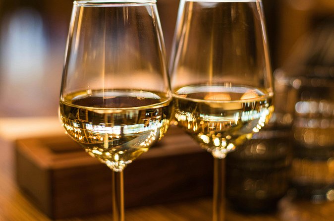 Lavaux Wine and Vineyard Experience with Boat Cruise - Who should book this Lavaux wine day?