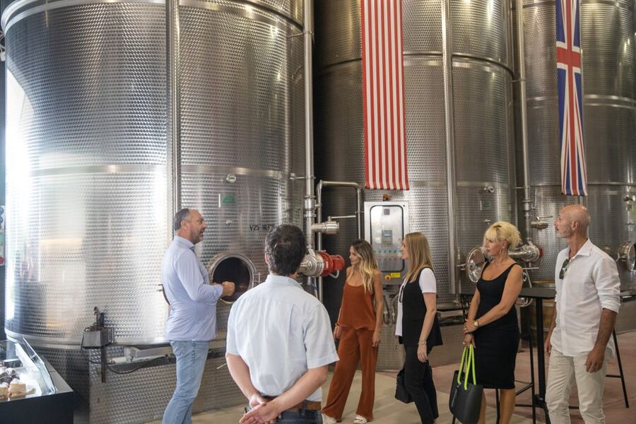 Lazise: Vineyard Tour and Organic Wine Tasting - Key points at a glance