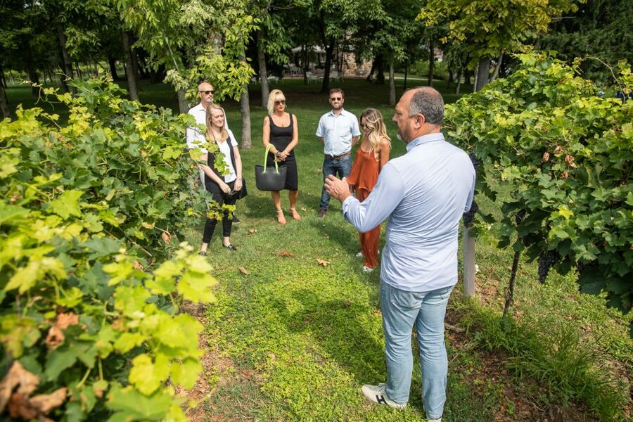 Lazise: Vineyard Tour and Organic Wine Tasting - FAQ
