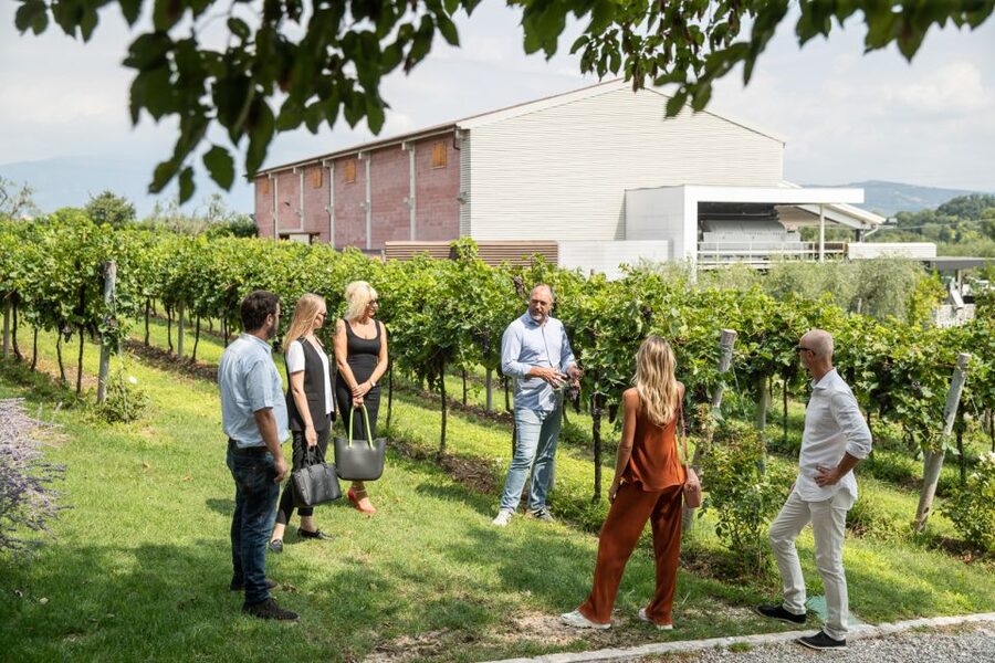 Lazise: Vineyard Tour and Organic Wine Tasting - What the $58 price buys you