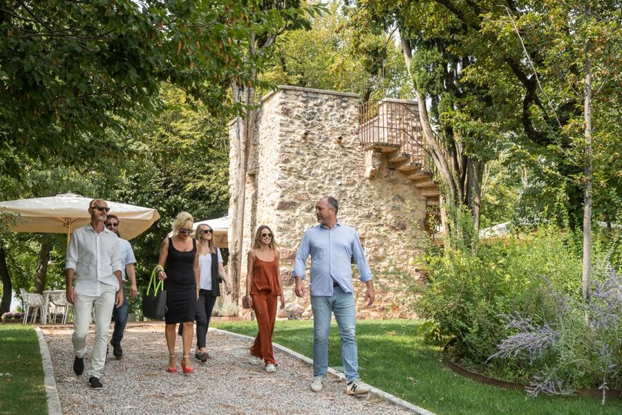 Lazise: Vineyard Tour and Organic Wine Tasting - Walking the organic vineyards