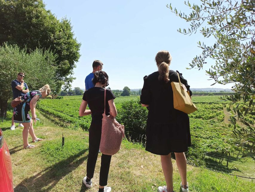 Lazise: Winery Tour with Garda Wines and Food Tasting - Key points to know before you book