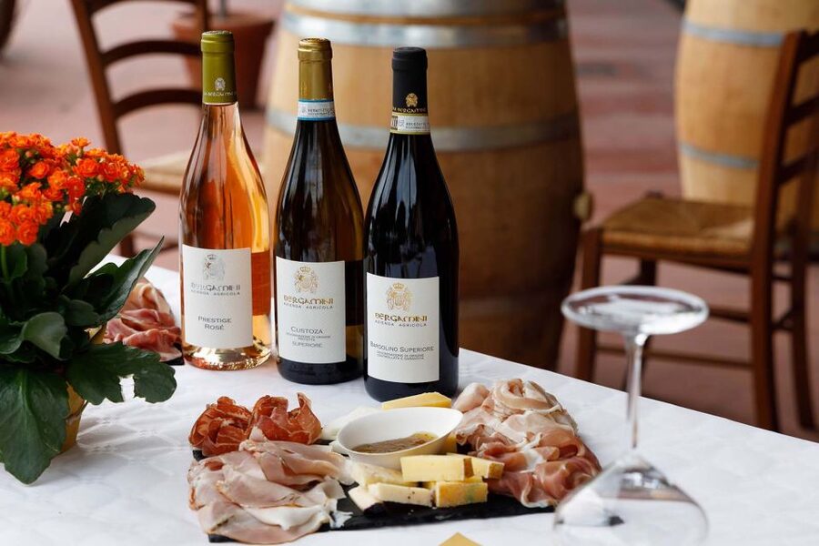 Lazise: Winery Tour with Garda Wines and Food Tasting - Seeing fermentation and aging in the cellar