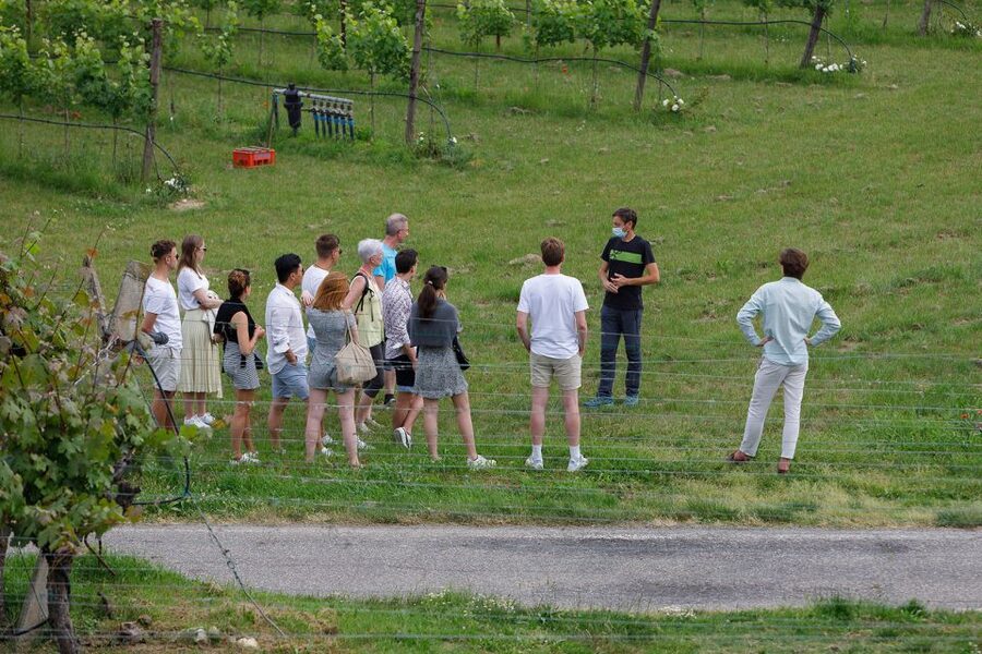 Lazise: Winery Tour with Garda Wines and Food Tasting - Is $49 a fair price?