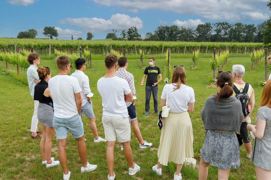 Lazise: Winery Tour with Garda Wines and Food Tasting - Who will enjoy this wine tour?