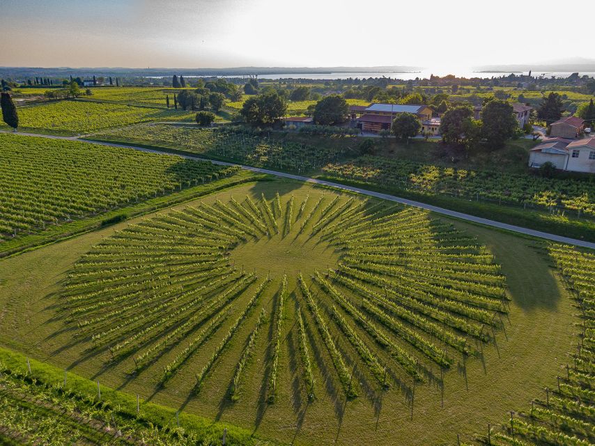 Lazise: Winery Tour with Garda Wines and Food Tasting - Booking and timing advice