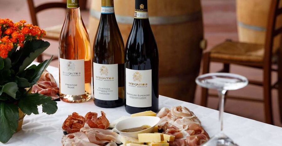 Lazise: Winery Tour with Garda Wines and Food Tasting - Walking through the vineyard