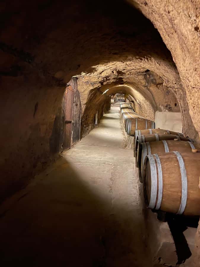 Lebanese wineries guided tour with tastings & lunch - Lebanese lunch between the tastings