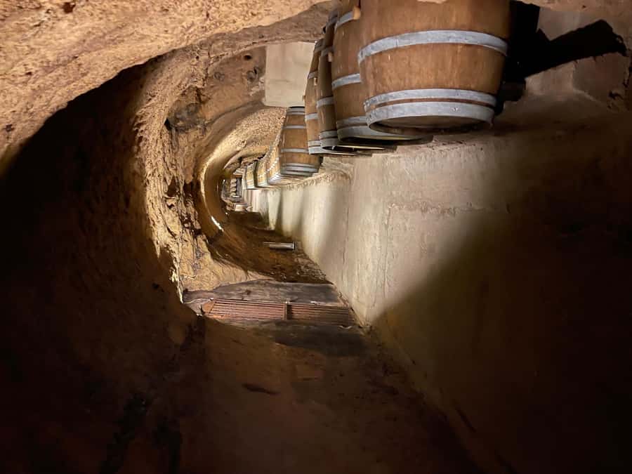 Lebanese wineries guided tour with tastings & lunch - Who will enjoy this tour most