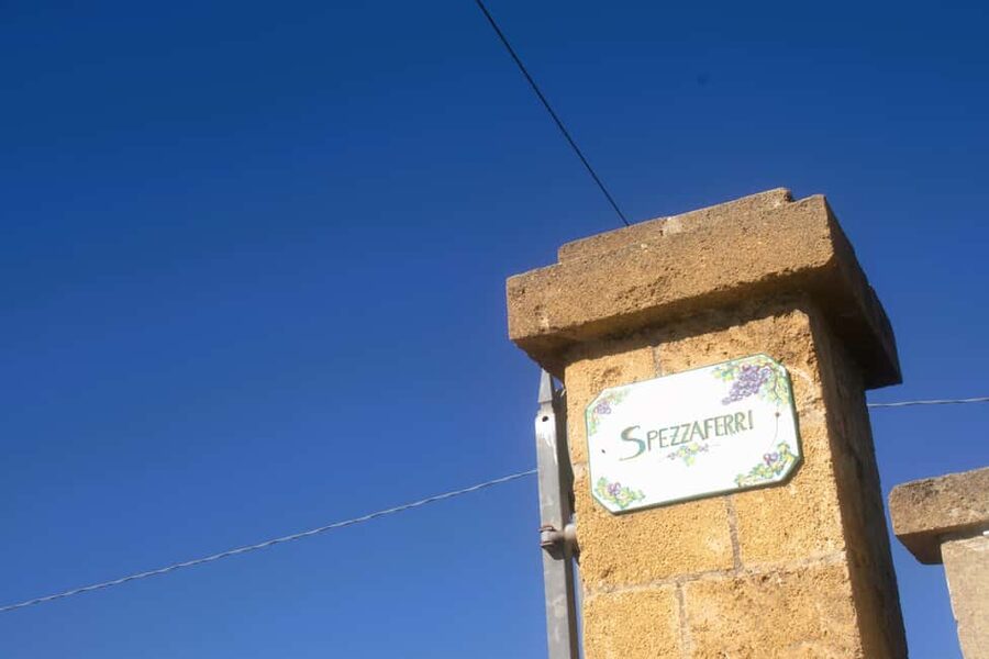 Lecce: Countryside Vineyard Walk & Wine Tasting - Key points to know before booking