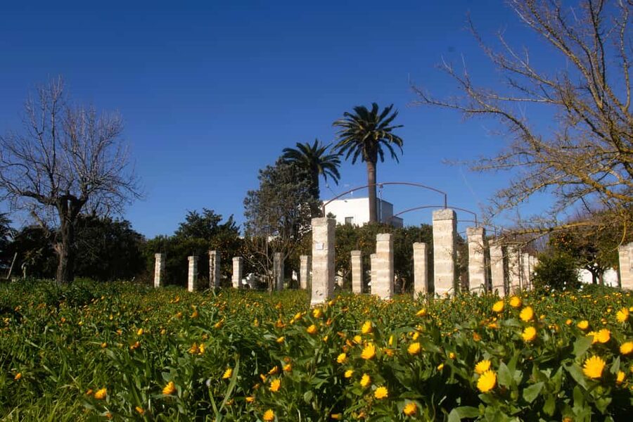Lecce: Countryside Vineyard Walk & Wine Tasting - Walking through vines and Mediterranean plants