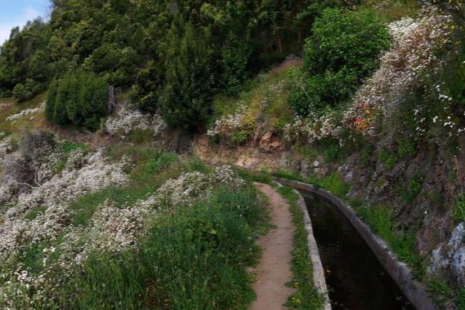Levada do Norte Quinta Grande Levada walk - Why a levada walk is a good way to see Madeira
