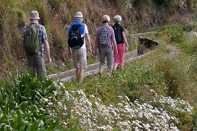 Levada do Norte Quinta Grande Levada walk - What the one-hour walk feels like