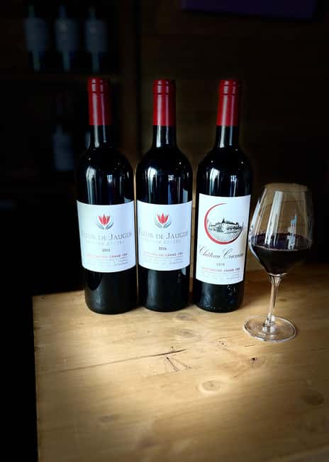 Libourne: Winery Tour with Wine and Chocolate Tasting - Who should book Château Cruzeau
