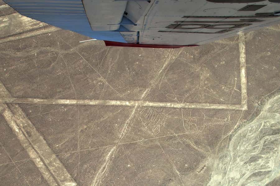 Lima: Ballestas Islands, Winery and Nazca Lines Private Tour - Why this makes sense as a private day trip
