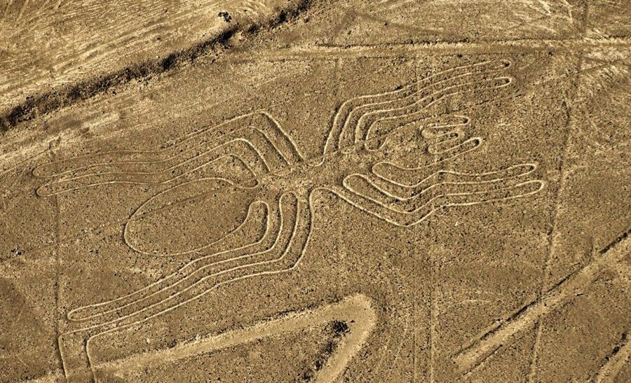 Lima: Ballestas Islands, Winery and Nazca Lines Private Tour - Waiting for the Nazca Lines flight