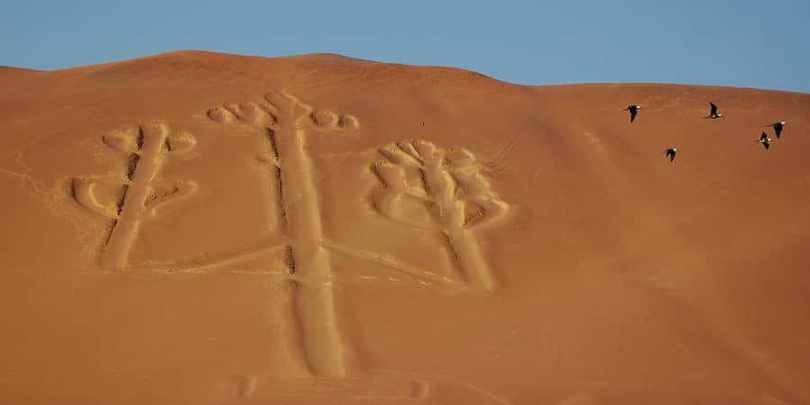Lima: Ballestas Islands, Winery and Nazca Lines Private Tour - The 4:30 AM start from Lima