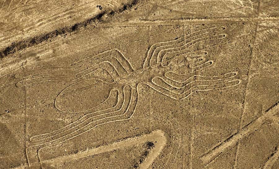 Lima: Huacachina, Winery, & Nazca Lines from Pisco Airport - The Nazca Lines Begin With a 5:30 AM Road Trip