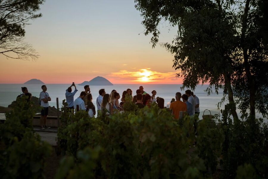 LIPARI WINERY - SUNSET WINE TASTING - The short winery visit keeps the evening moving