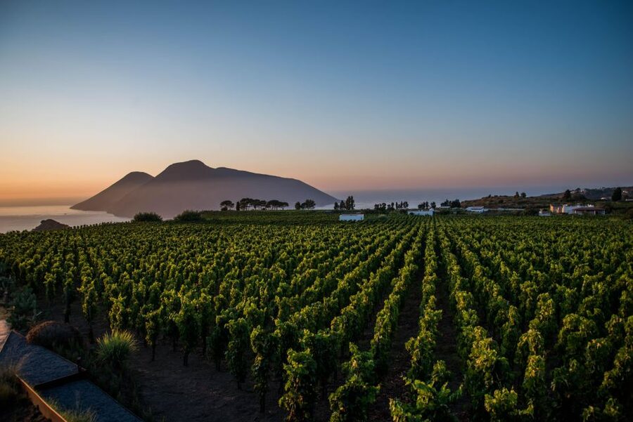 LIPARI WINERY - SUNSET WINE TASTING - Who will enjoy this Lipari wine tasting?