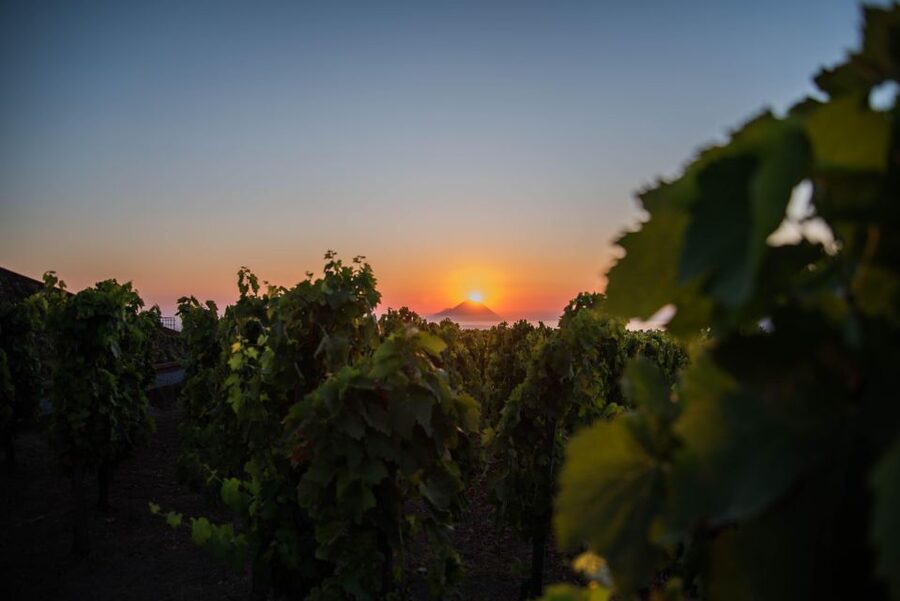 LIPARI WINERY - SUNSET WINE TASTING - Should you book the Tenuta di Castellaro sunset tasting?