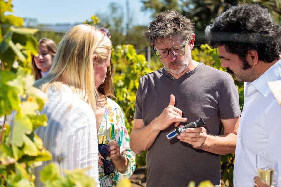 Lisbon: Carcavelos Vineyard Tour and Wine Tasting - Key points to know before you book