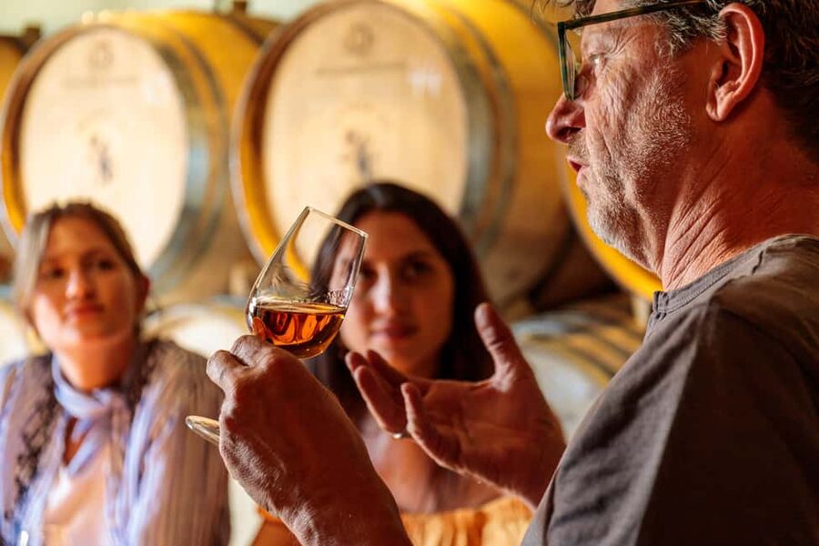 Lisbon: Carcavelos Vineyard Tour and Wine Tasting - The story behind a nearly forgotten Lisbon wine