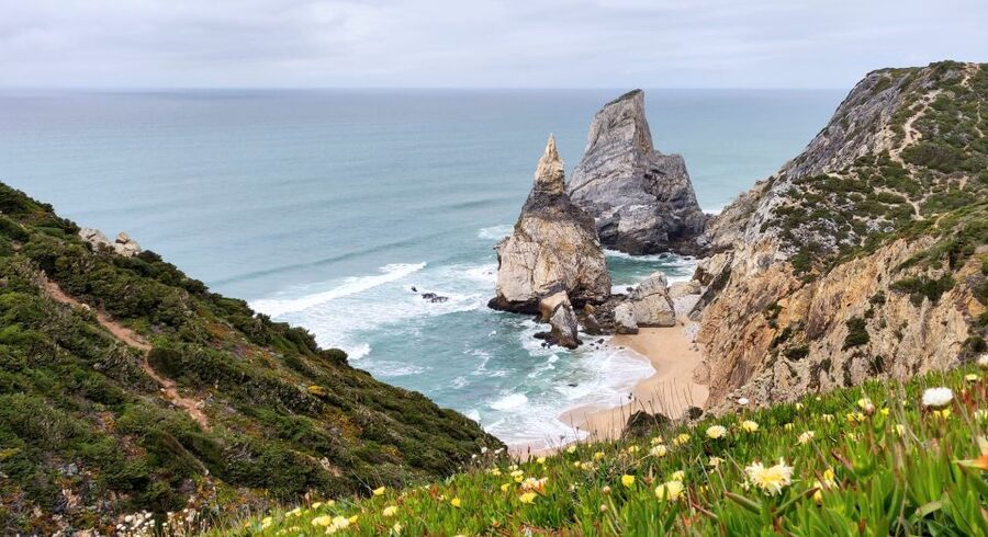 Lisbon: Sintra, Pena Palace, Quinta Regaleira, Cascais Tour - Starting early from Lisbon, Sintra, or Cascais