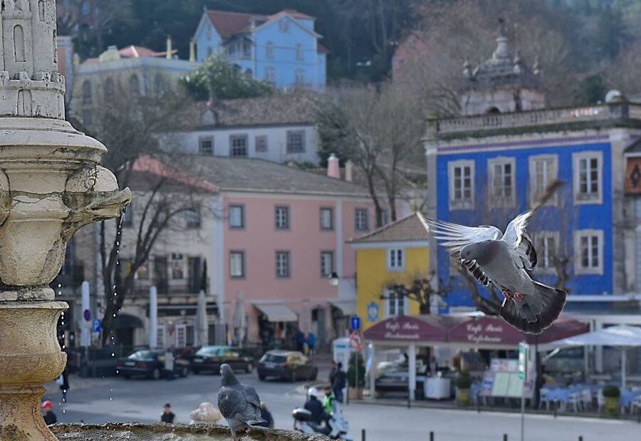 Lisbon: Sintra, Pena Palace, Quinta Regaleira, Cascais Tour - Sintra village and its royal palace