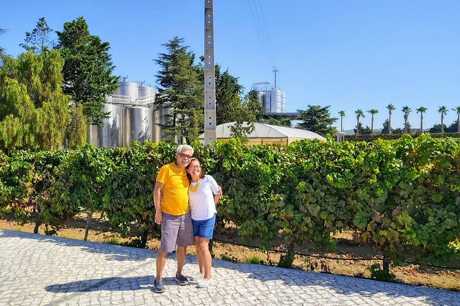 Lisbon & The South Side Wine Regions Private Luxury Tour - Why this private two-day format works