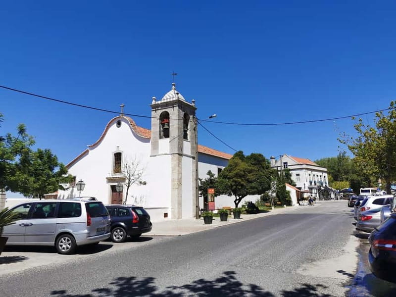 Lisbon to Wine Tasting Setubal, Two Cellars, Half Day Tour - Why Setúbal makes a good wine escape from Lisbon