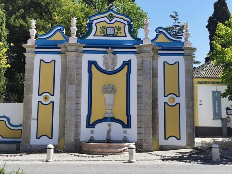 Lisbon to Wine Tasting Setubal, Two Cellars, Half Day Tour - How much wine do you actually taste?