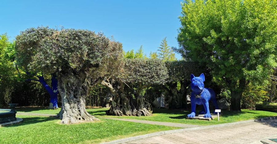 Lisbon to Wine Tasting Setubal, Two Cellars, Half Day Tour - Is $123 per person a fair price?