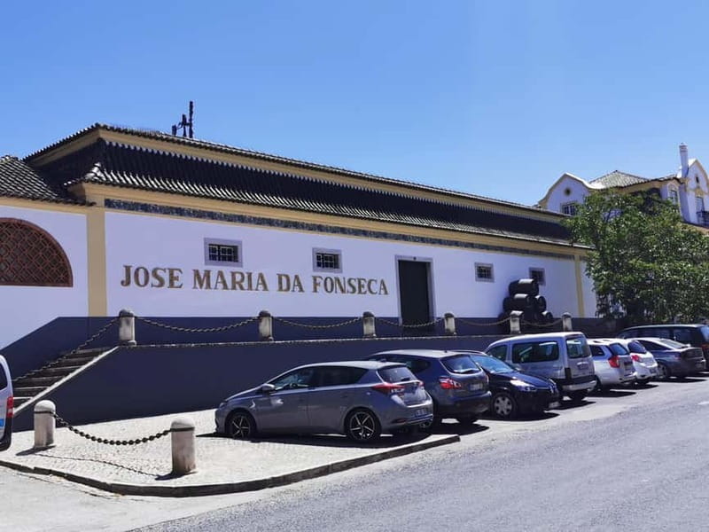 Lisbon to Wine Tasting Setubal, Two Cellars, Half Day Tour - The first Azeitão cellar, old Portugal in the glass