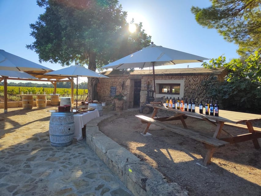 Llucmajor: Bodegas Bordoy Wine Tour - What the Bodegas Bordoy visit is really like