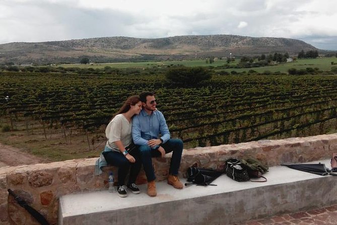 Local Vineyard Tour & Wine Tasting at the Independence Valley - A modern winery beyond San Miguel de Allende