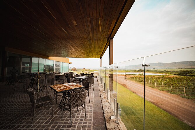 Local Vineyard Tour & Wine Tasting at the Independence Valley - Inside the cellar and production rooms