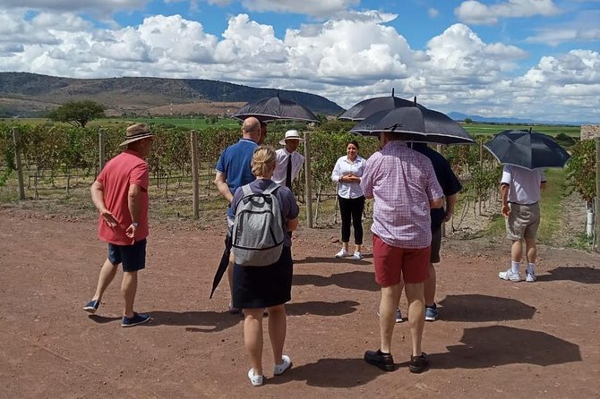 Local Vineyard Tour & Wine Tasting at the Independence Valley - The ride from Fabrica La Aurora