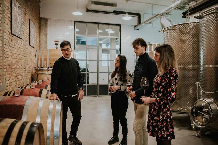 Logroño: Arizcuren Winery - Tasting four wines from the Arizcuren project