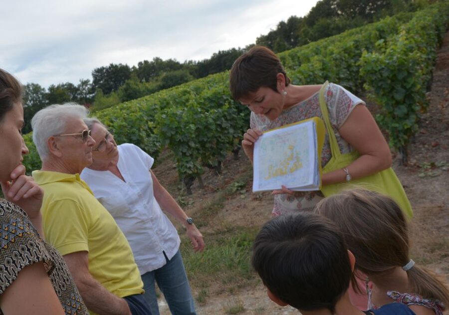 Loire Valley: Vouvray Vineyard Tour and Wine Tasting - Starting among the vines in Chançay