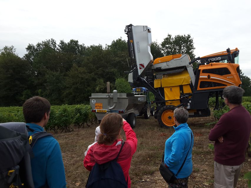 Loire Valley: Vouvray Vineyard Tour and Wine Tasting - Who will enjoy this tour most