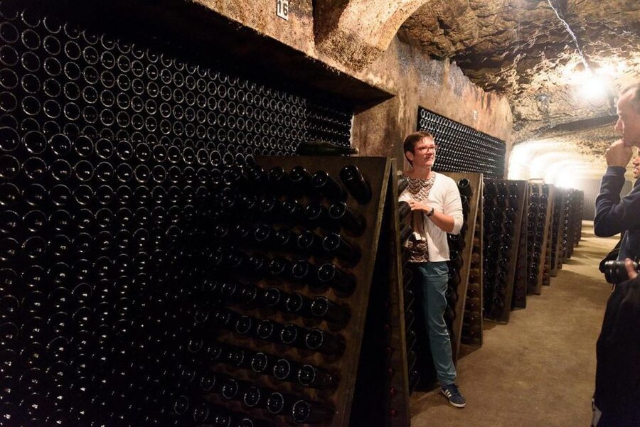 Loire Valley: Vouvray Vineyard Tour and Wine Tasting - Should you book the Vouvray vineyard tour?